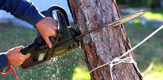 Best Soil Testing and Treatment  in Goodland, IN